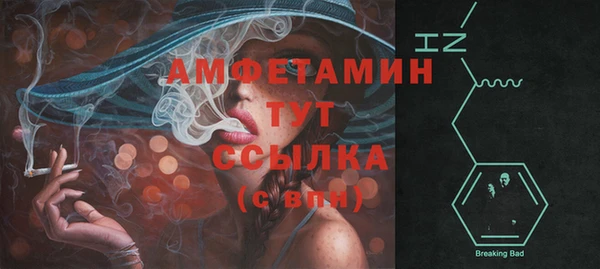 экстази Бикин