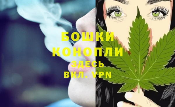 индика Коряжма