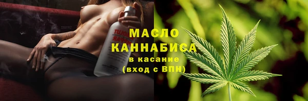 индика Коряжма