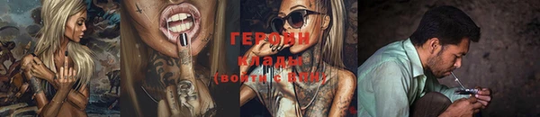 индика Коряжма