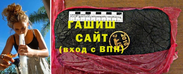 индика Коряжма