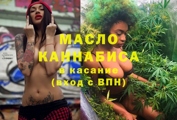 индика Коряжма
