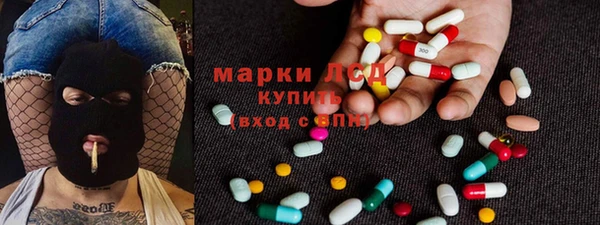 индика Коряжма