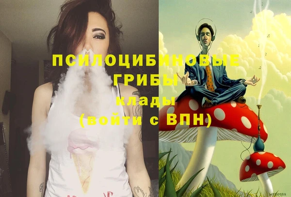 спиды Корсаков