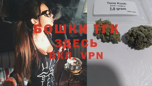 дмт Кодинск