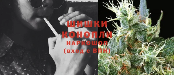 экстази Бикин