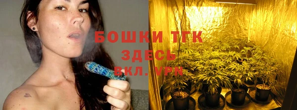 индика Коряжма